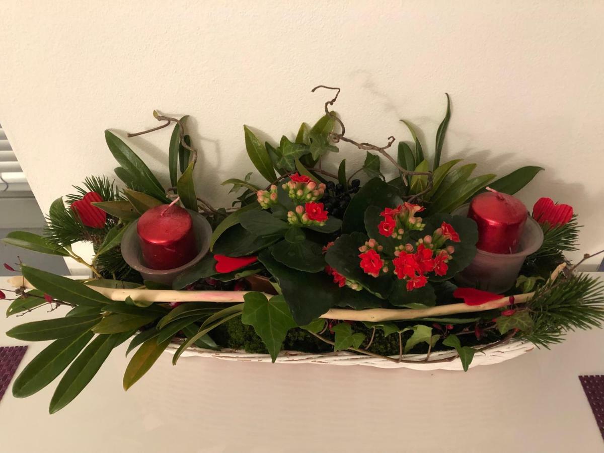 דירות קולאן Elf מראה חיצוני תמונה